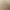 Малика New
