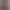 Сочная персик Без каприз а