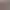Новенькая