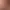 Бота