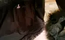 Динара 4