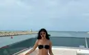 Viola 2