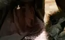 Дияна 3