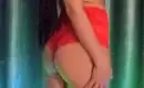 Метиска 1