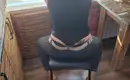 Алёна 8