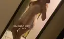 Дарина 1